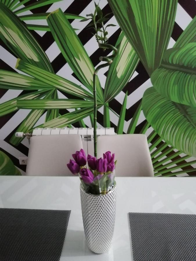 Butterfly Apartment Čačak Екстериор снимка
